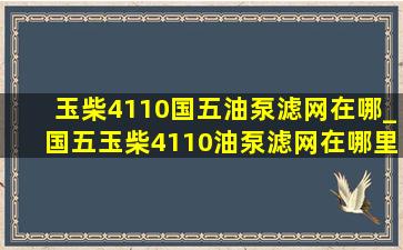 玉柴4110国五油泵滤网在哪_国五玉柴4110油泵滤网在哪里