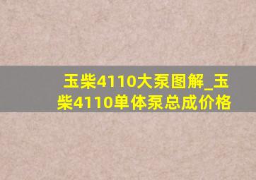 玉柴4110大泵图解_玉柴4110单体泵总成价格