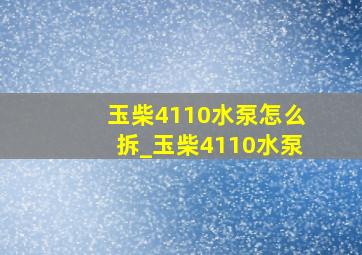 玉柴4110水泵怎么拆_玉柴4110水泵