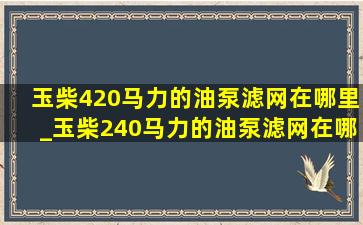 玉柴420马力的油泵滤网在哪里_玉柴240马力的油泵滤网在哪里