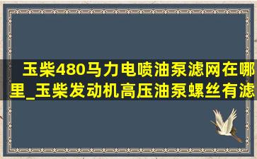 玉柴480马力电喷油泵滤网在哪里_玉柴发动机高压油泵螺丝有滤网吗