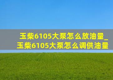 玉柴6105大泵怎么放油量_玉柴6105大泵怎么调供油量