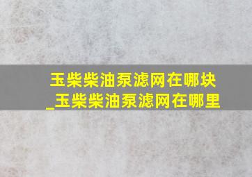 玉柴柴油泵滤网在哪块_玉柴柴油泵滤网在哪里