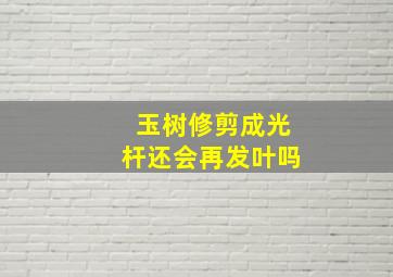 玉树修剪成光杆还会再发叶吗