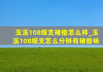 玉溪108细支褚橙怎么样_玉溪108细支怎么分辨有褚橙味