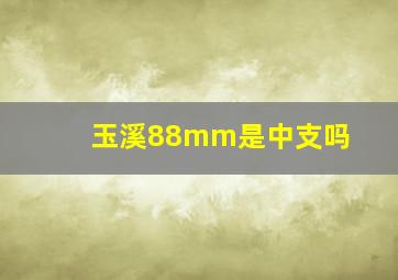 玉溪88mm是中支吗