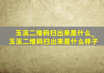 玉溪二维码扫出来是什么_玉溪二维码扫出来是什么样子