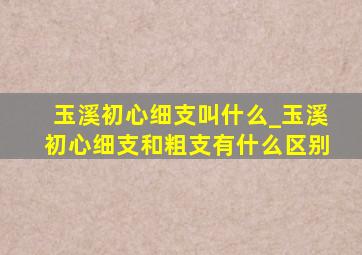 玉溪初心细支叫什么_玉溪初心细支和粗支有什么区别