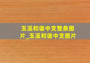 玉溪和谐中支整条图片_玉溪和谐中支图片