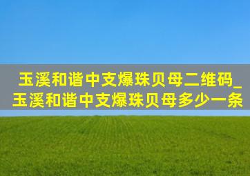 玉溪和谐中支爆珠贝母二维码_玉溪和谐中支爆珠贝母多少一条