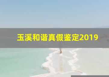 玉溪和谐真假鉴定2019