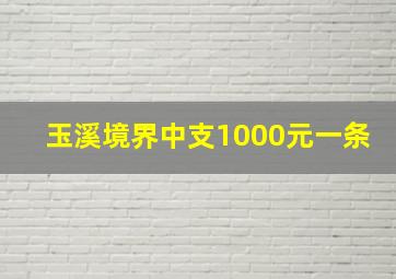 玉溪境界中支1000元一条