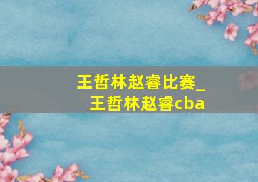 王哲林赵睿比赛_王哲林赵睿cba