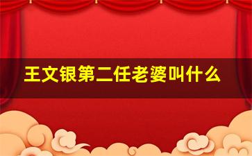 王文银第二任老婆叫什么