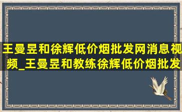 王曼昱和徐辉(低价烟批发网)消息视频_王曼昱和教练徐辉(低价烟批发网)消息