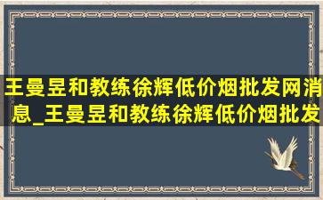 王曼昱和教练徐辉(低价烟批发网)消息_王曼昱和教练徐辉(低价烟批发网)消息视频