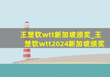 王楚钦wtt新加坡颁奖_王楚钦wtt2024新加坡颁奖