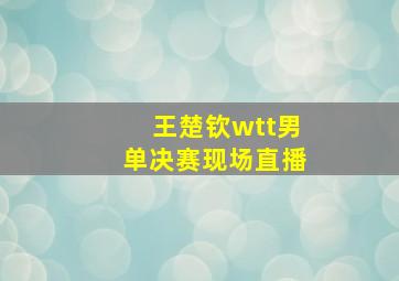 王楚钦wtt男单决赛现场直播