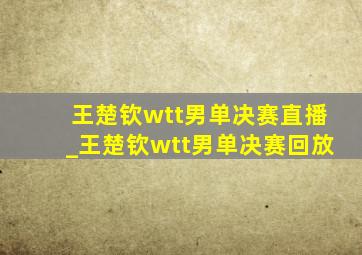 王楚钦wtt男单决赛直播_王楚钦wtt男单决赛回放