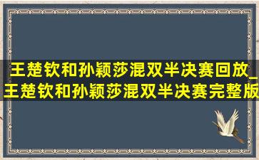 王楚钦和孙颖莎混双半决赛回放_王楚钦和孙颖莎混双半决赛完整版