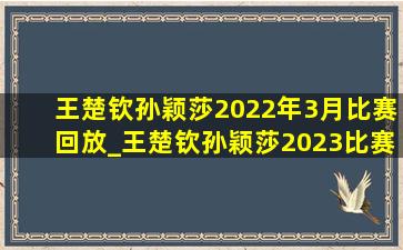 王楚钦孙颖莎2022年3月比赛回放_王楚钦孙颖莎2023比赛日程