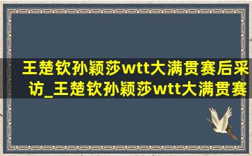 王楚钦孙颖莎wtt大满贯赛后采访_王楚钦孙颖莎wtt大满贯赛后颁奖