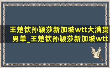 王楚钦孙颖莎新加坡wtt大满贯男单_王楚钦孙颖莎新加坡wtt大满贯互动