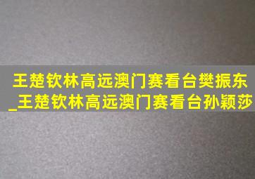 王楚钦林高远澳门赛看台樊振东_王楚钦林高远澳门赛看台孙颖莎