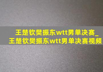 王楚钦樊振东wtt男单决赛_王楚钦樊振东wtt男单决赛视频