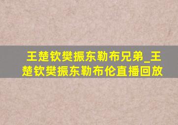 王楚钦樊振东勒布兄弟_王楚钦樊振东勒布伦直播回放