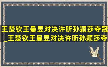 王楚钦王曼昱对决许昕孙颖莎夺冠_王楚钦王曼昱对决许昕孙颖莎夺冠完整版