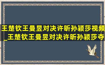 王楚钦王曼昱对决许昕孙颖莎视频_王楚钦王曼昱对决许昕孙颖莎夺冠