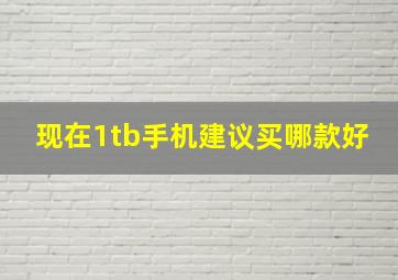 现在1tb手机建议买哪款好