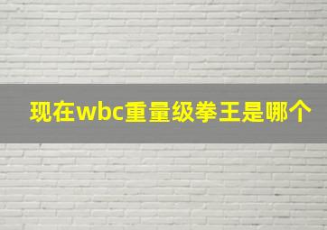 现在wbc重量级拳王是哪个