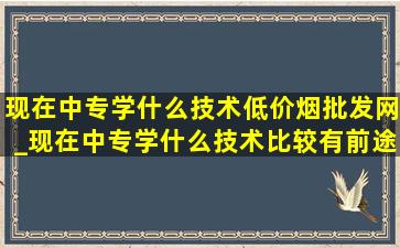 现在中专学什么技术(低价烟批发网)_现在中专学什么技术比较有前途