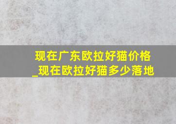 现在广东欧拉好猫价格_现在欧拉好猫多少落地