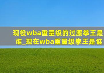 现役wba重量级的过渡拳王是谁_现在wba重量级拳王是谁