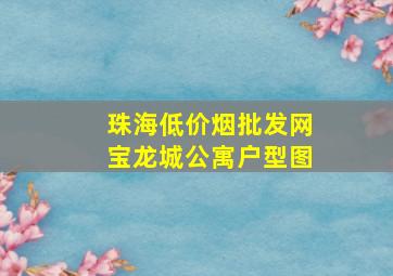 珠海(低价烟批发网)宝龙城公寓户型图