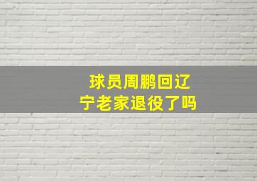 球员周鹏回辽宁老家退役了吗