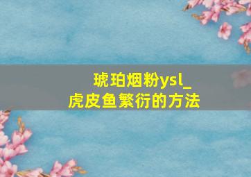 琥珀烟粉ysl_虎皮鱼繁衍的方法