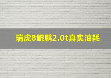 瑞虎8鲲鹏2.0t真实油耗