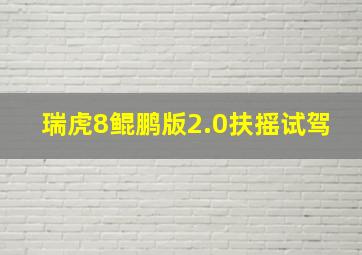 瑞虎8鲲鹏版2.0扶摇试驾