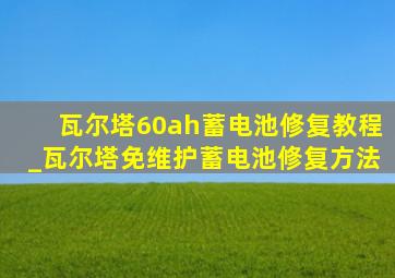 瓦尔塔60ah蓄电池修复教程_瓦尔塔免维护蓄电池修复方法