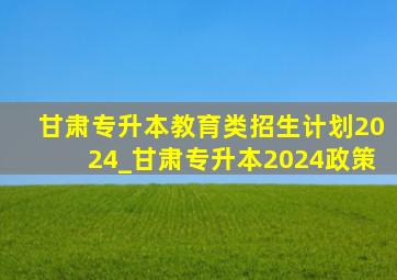 甘肃专升本教育类招生计划2024_甘肃专升本2024政策