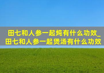 田七和人参一起炖有什么功效_田七和人参一起煲汤有什么功效