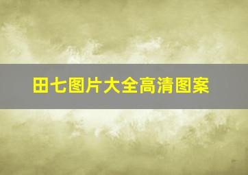 田七图片大全高清图案