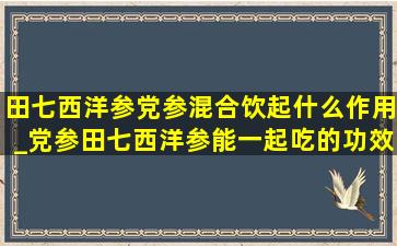 田七西洋参党参混合饮起什么作用_党参田七西洋参能一起吃的功效