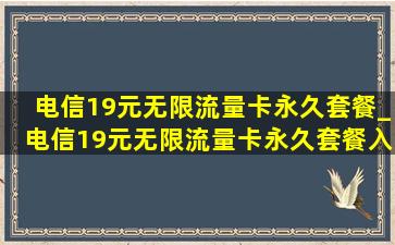 电信19元无限流量卡永久套餐_电信19元无限流量卡永久套餐入口