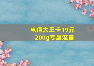 电信大王卡19元200g专属流量