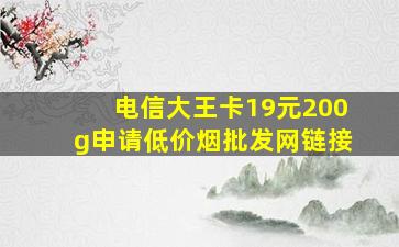 电信大王卡19元200g申请(低价烟批发网)链接